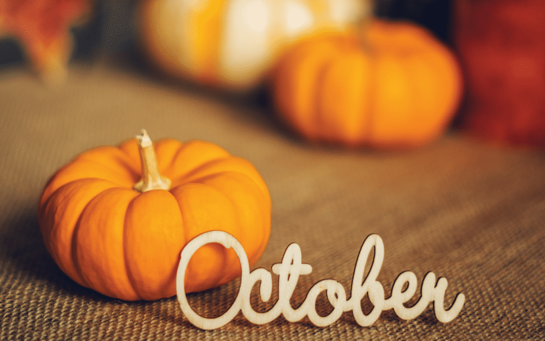 Community Chronicles October 2025