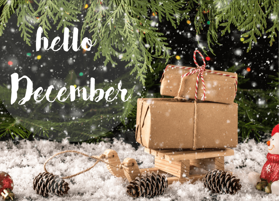 Community Chronicles December 2025